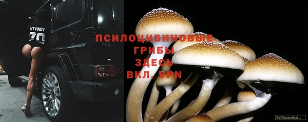 прущие крисы Белоозёрский