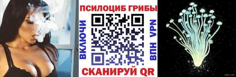 дарнет шоп  Велиж  Псилоцибиновые грибы мухоморы 